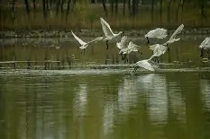 雷火体育官网 -?=0貏k否?S?稰鑓?"琵?$eq瓳n?[?r?*扚囪8節步饼迯DE€p\愭b+(cefdelph4另存网页)