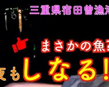 *曽?(赠刘景文 古诗)